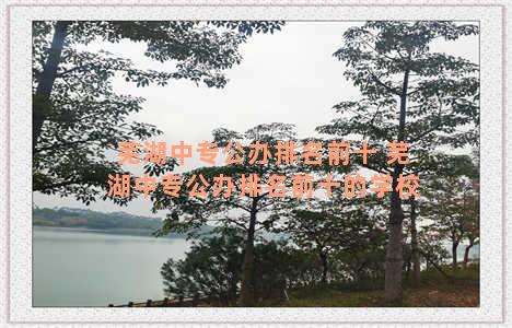 芜湖中专公办排名前十 芜湖中专公办排名前十的学校